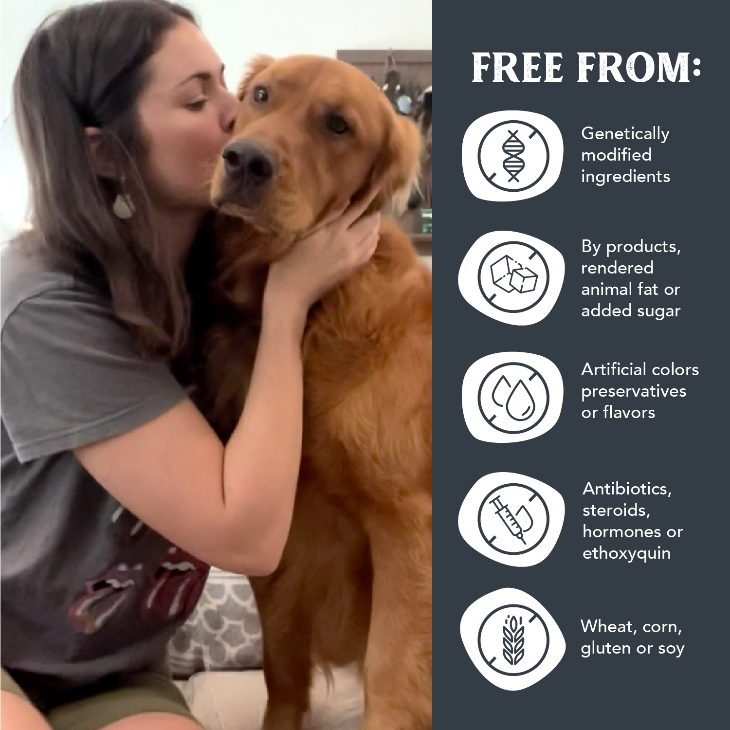 Health Extension Pet Care - Gently Air Dried Beef Recipe
